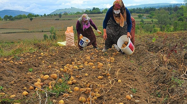 Büyükşehirden Tarıma Rekor Destek