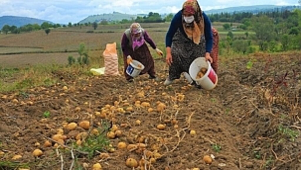 Büyükşehirden Tarıma Rekor Destek