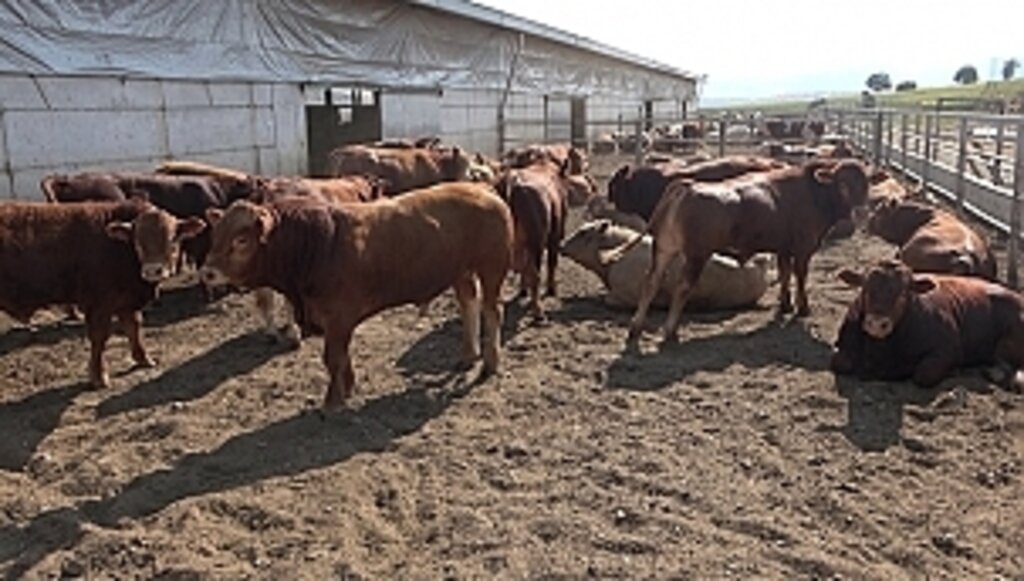 Samsun'dan Kardeş Şehrin Ekonomisine Destek 