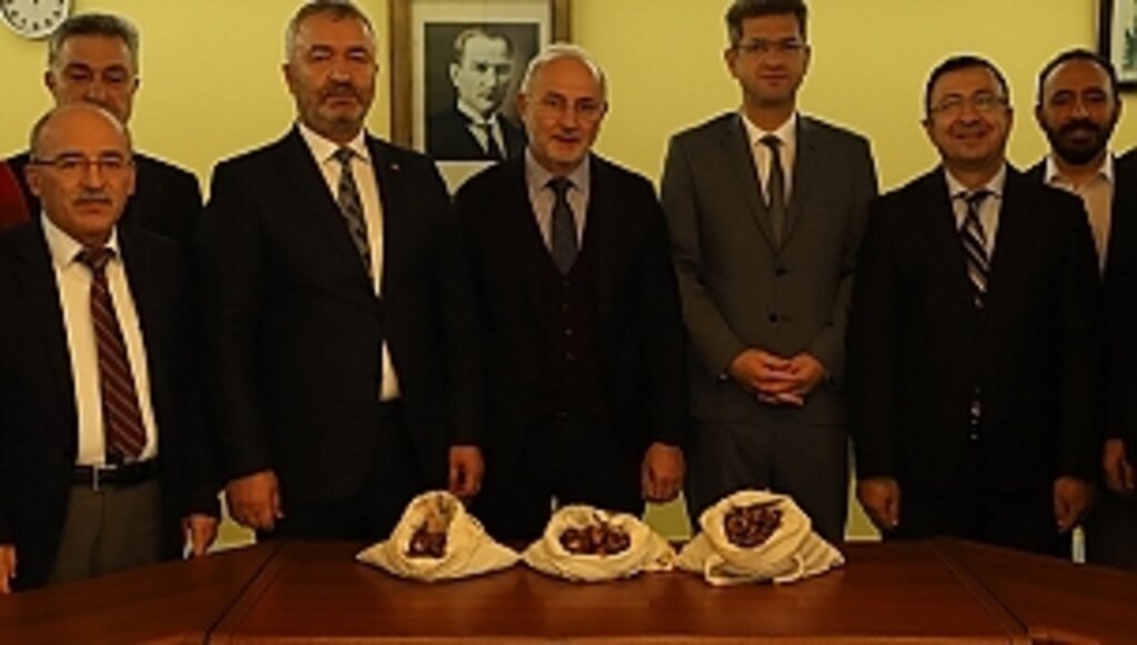 19 Mayıs 'a Kestane Ormanı Kurulacak