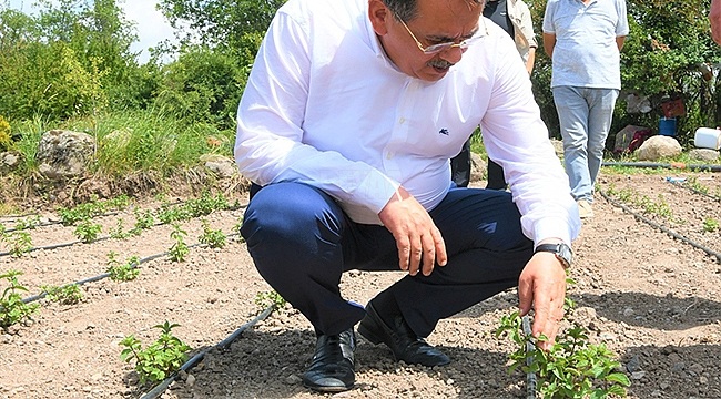 Bir Karış Toprak Bile Boş Kalmamalı