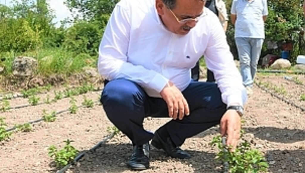Bir Karış Toprak Bile Boş Kalmamalı