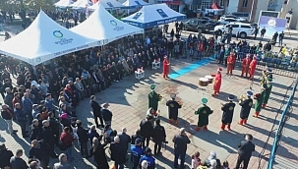 Hamsi Festivalinde 10 Ton Hamsi Tükettiler