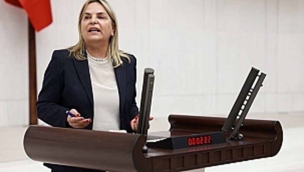 Hancıoğlu, TBMM Genel Kurulu'nda Konuştu