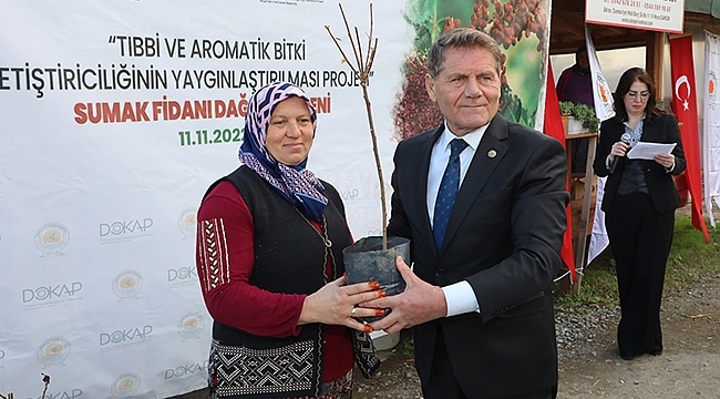 Karadeniz'in İlk 'Sumak' Bahçeleri Samsun'da Kurulacak