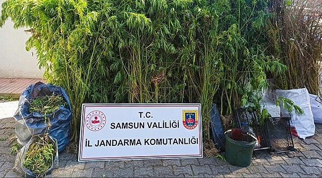 Samsun'da Uyuşturuculara Göz Açtırılmıyor!...