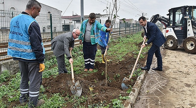 Tekkeköy'de 1500 Fidan Toprakla Buluştu