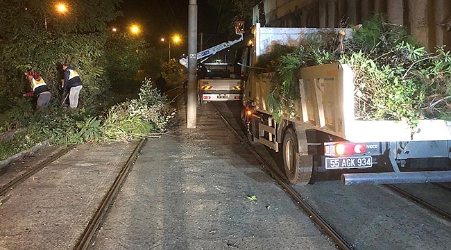 Tramvay Güzergahında Temizlik