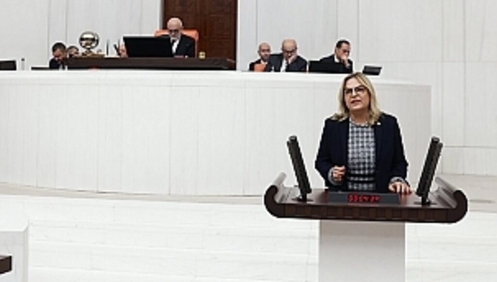 Ne Kadınları Koruyabildiniz Ne de Yavrularımızı!