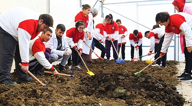 Okul Bahçesindeki Serada Kışlık Sebze