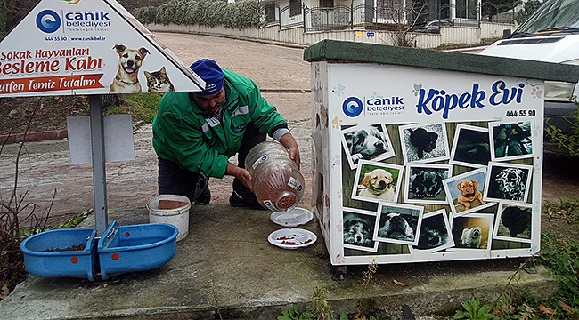 Canik Belediyesi Can Dostları Yalnız Bırakmıyor