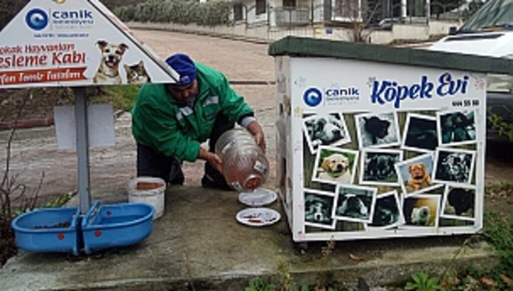 Canik Belediyesi Can Dostları Yalnız Bırakmıyor