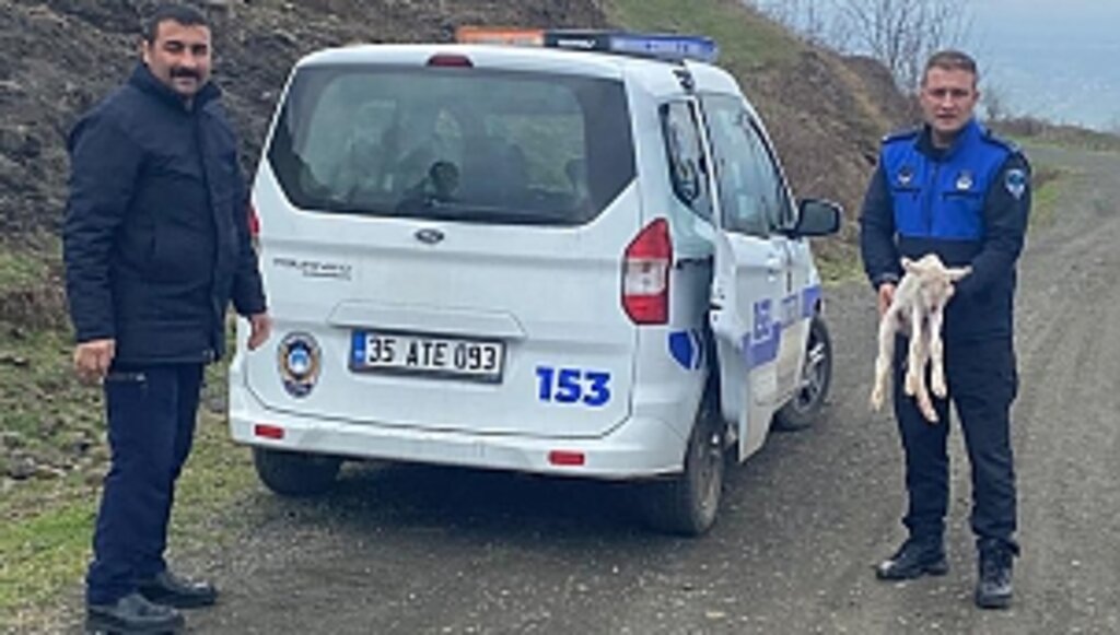 Zabıtadan Kayıp Kuzu Anonsu!...