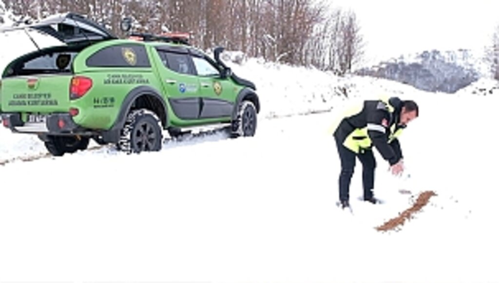 Canik Belediyesi Can Dostları İçin 7/24 Mesaide