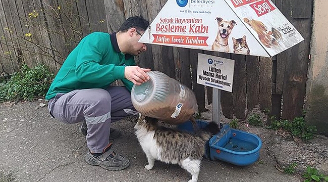 Canik Belediyesi Can Dostları İçin Sahada