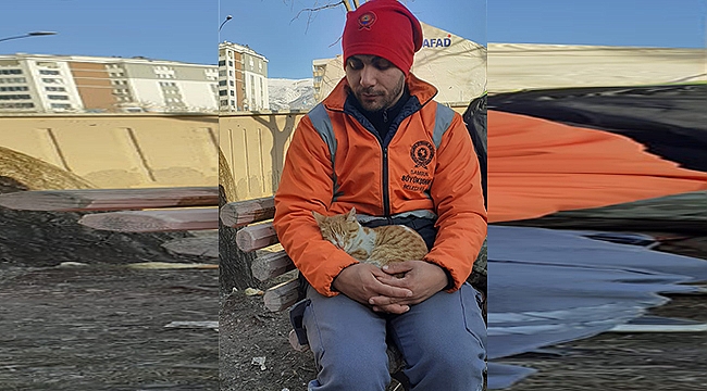 Yıkıntılar Arasından Gelen Kediye Kucak Açtı