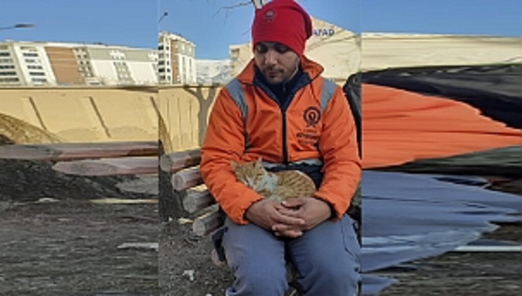Yıkıntılar Arasından Gelen Kediye Kucak Açtı