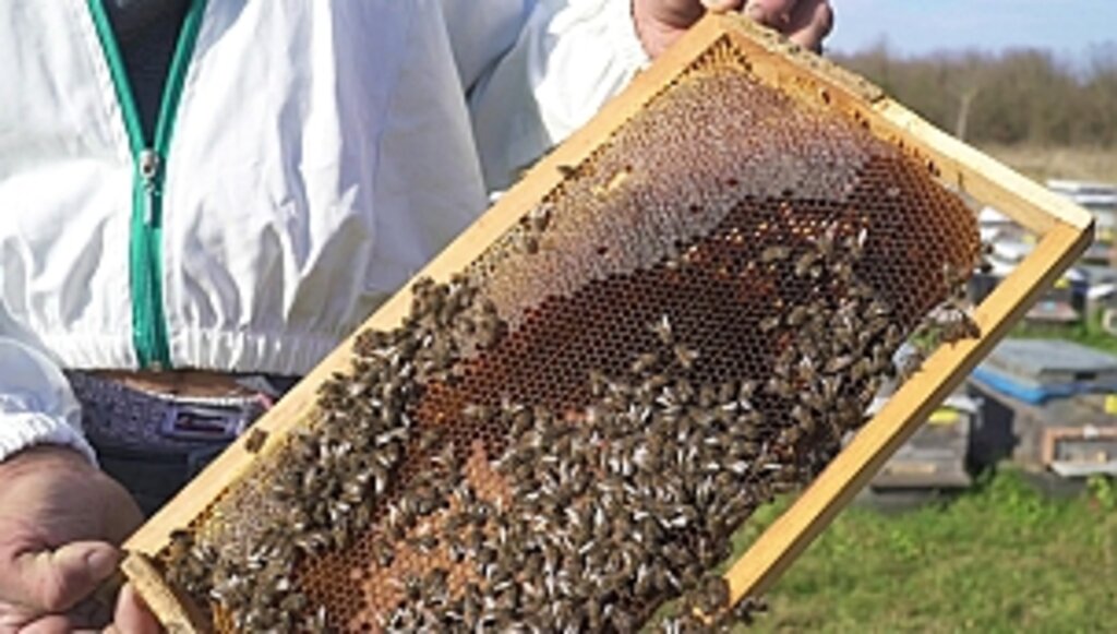 Yöresel Ürünler Büyükşehir İle Markalaşıyor