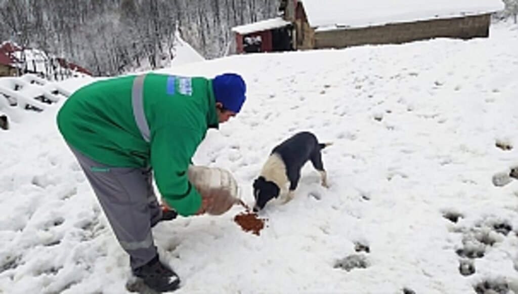 Canik'te Can Dostları Yalnız Bırakılmıyor