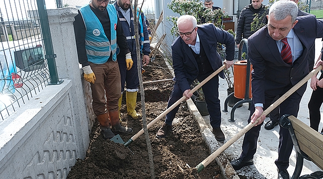 Tekkeköy'de Binlerce Fidan Toprakla Buluştu