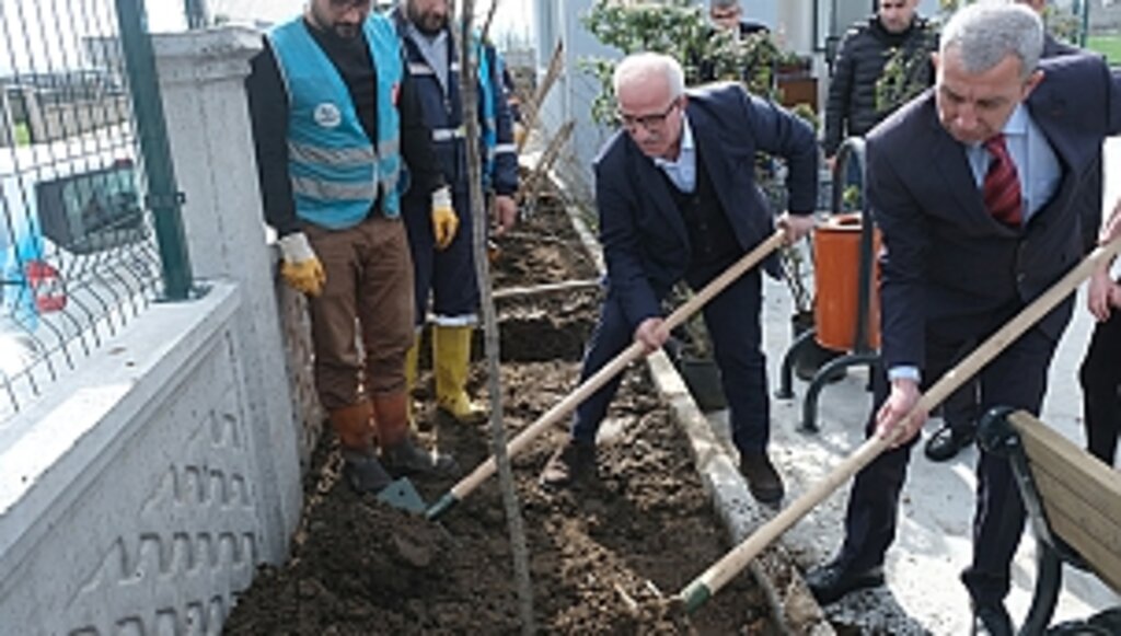 Tekkeköy'de Binlerce Fidan Toprakla Buluştu