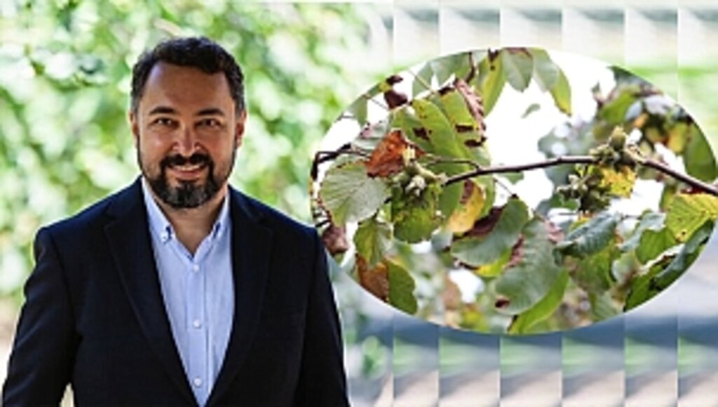 10 Yılda 50 Bin Fındık Üreticisine Ulaştı