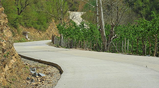 Büyükşehir Mahallelerin Yol Sorunu Tek Tek Çözülüyor