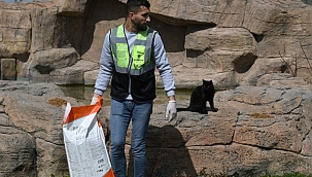 Can Dostların Mamaları Büyükşehir'den