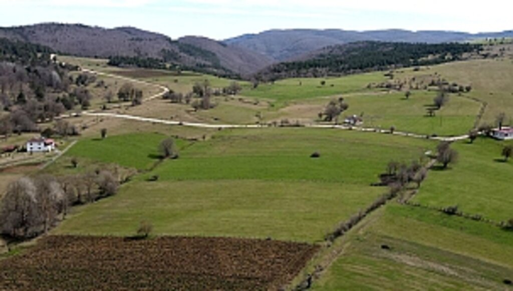 Daldere ve Büyükalan Mahalleleri'nin Ulaşım Çilesi Sona Erdi 