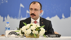 Bakanı Muş, İnce'nin Cumhurbaşkanlığı Adaylığından Çekilmesini Değerlendirdi