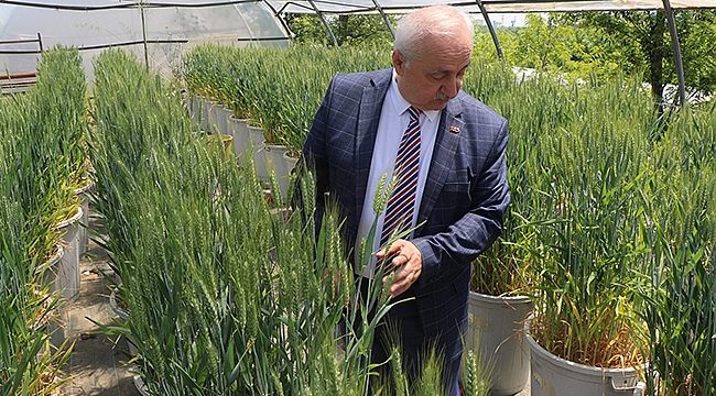 El Nino Sıcaklıkları Balıkçılığı Olumsuz Etkileyecek