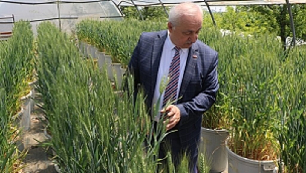 El Nino Sıcaklıkları Balıkçılığı Olumsuz Etkileyecek