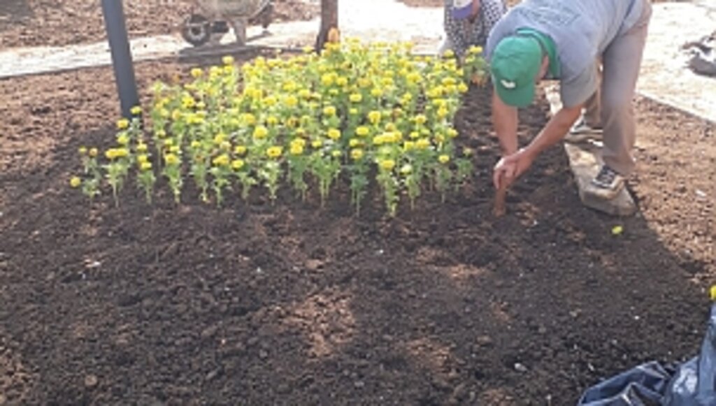 İlkadım'a Bahar Bakımı