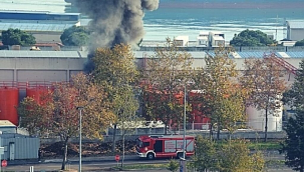 Samsun Limanındaki Denetimsizlik Bir İşçiyi Canından Ediyordu!