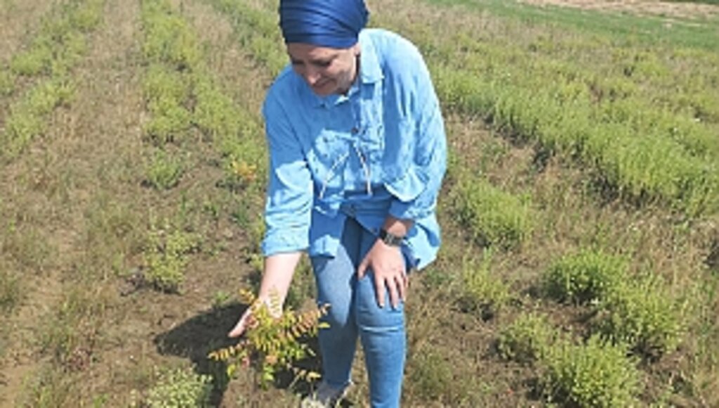 Büyükşehir Destekliyor, Kadın Girişimciler Üretiyor