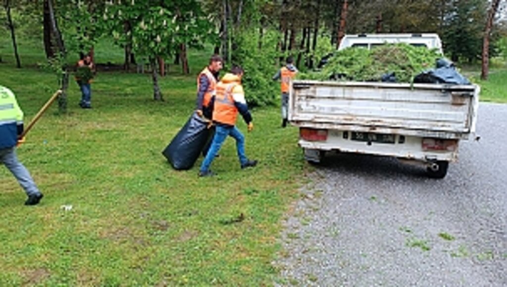Kavak Yaza Hazırlanıyor