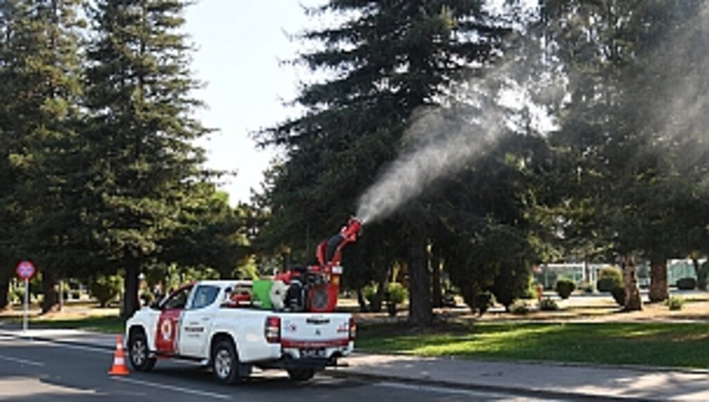 Kentin 'Ciğerlerine' Büyükşehir'den Bakım
