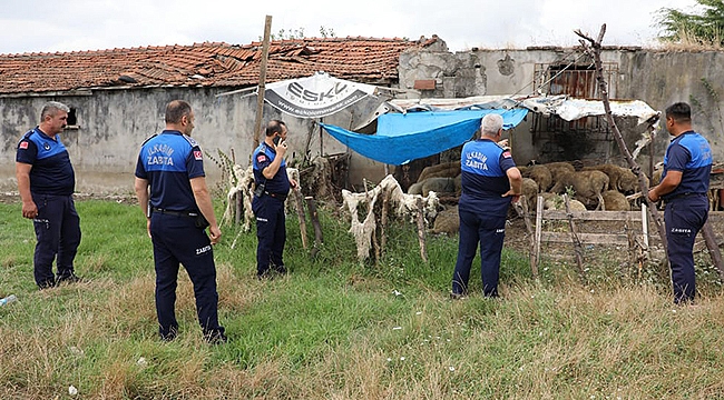 Uyarı Yapılan 12 Ahırın Faaliyetlerine Son Verildi