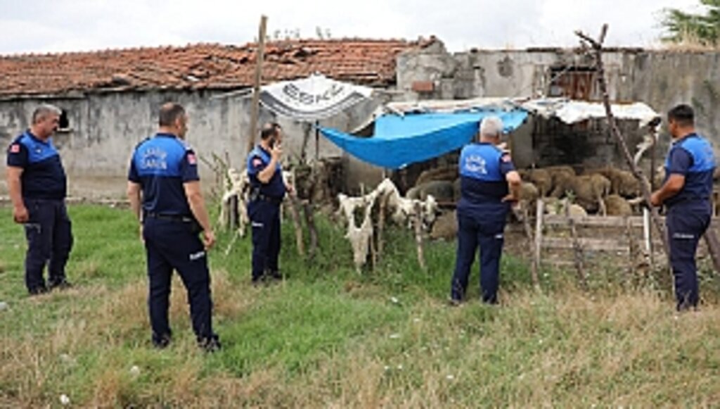 Uyarı Yapılan 12 Ahırın Faaliyetlerine Son Verildi