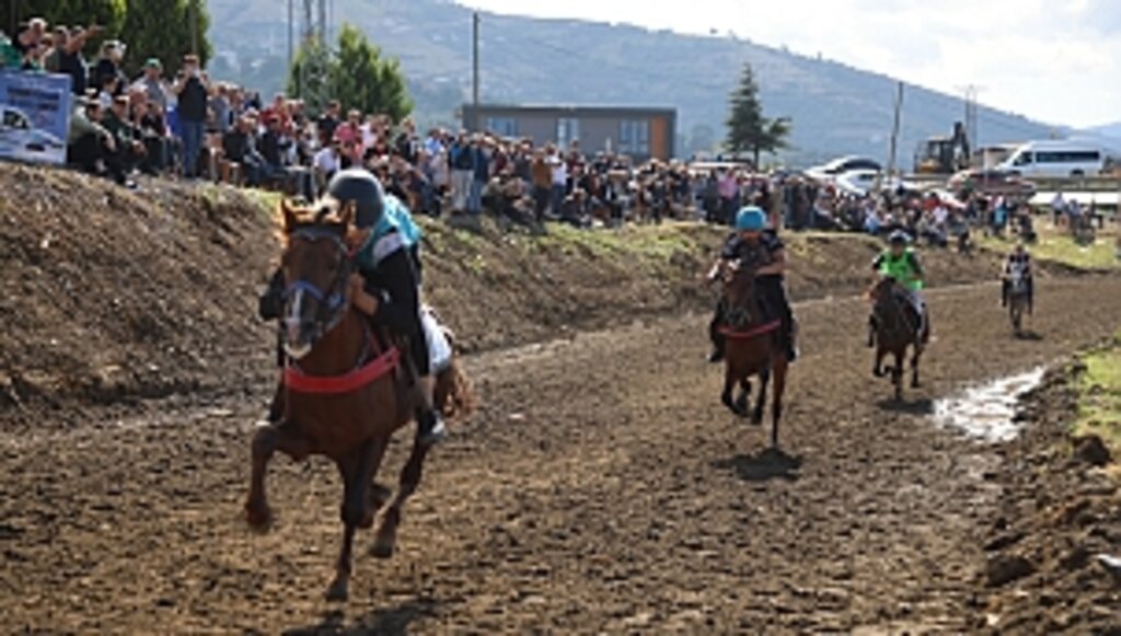 Canik Atları Dört Nala Koştu