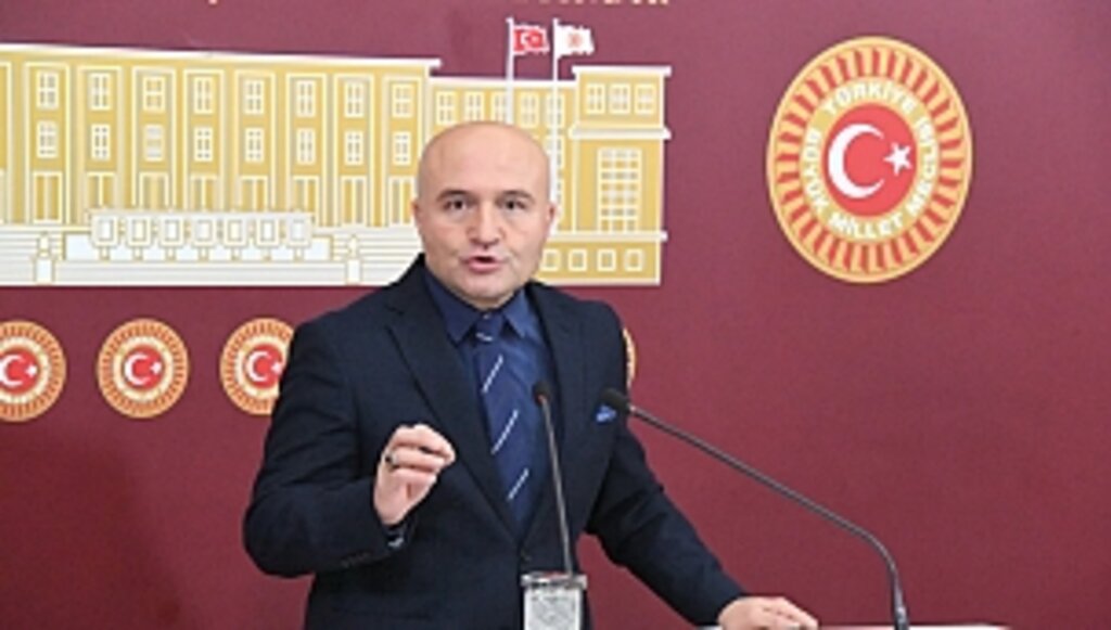 Kahverengi Kokarca Samsun'da Görüldü