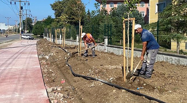 Canik'te Parklar Ağaçlandırılıyor