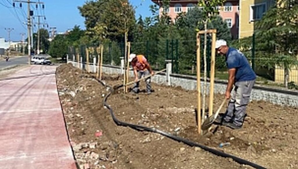 Canik'te Parklar Ağaçlandırılıyor