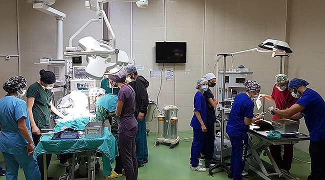 OMÜ Hayvan Hastanesi Tüm Karadeniz Bölgesi'ne Hizmet Veriyor