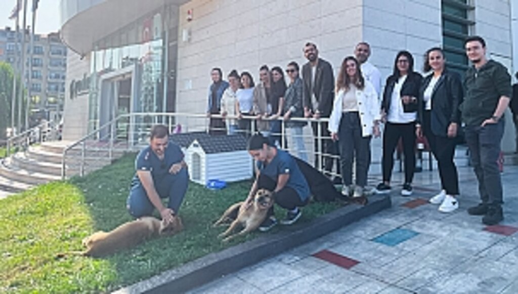 YEDAŞ Farkındalık Çalışmaları ile Hayvanları Koruma Gününe Dikkat Çekiyor