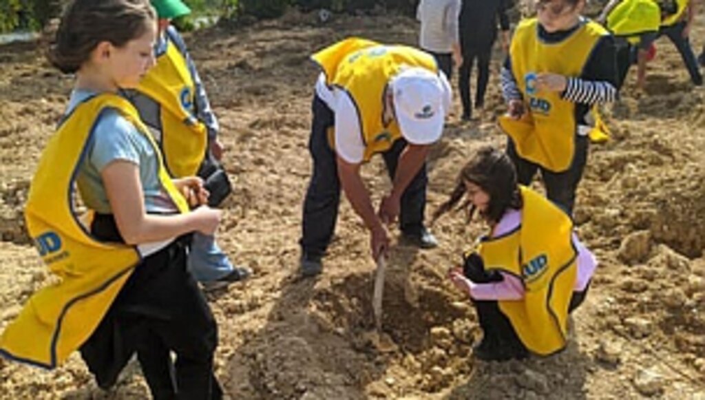 Bin Tohum Topu Samsun'da Hayat Buluyor...