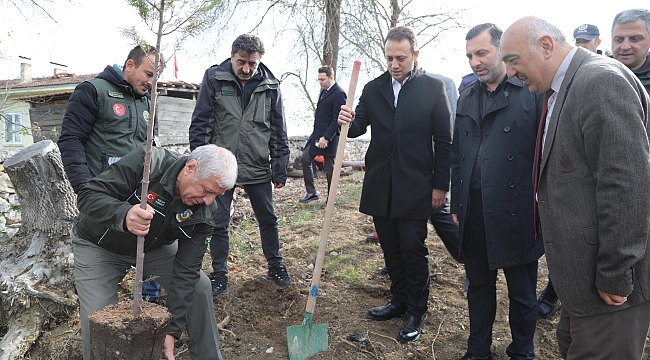 İlçemiz Yeşillendikçe Güzelleşiyor