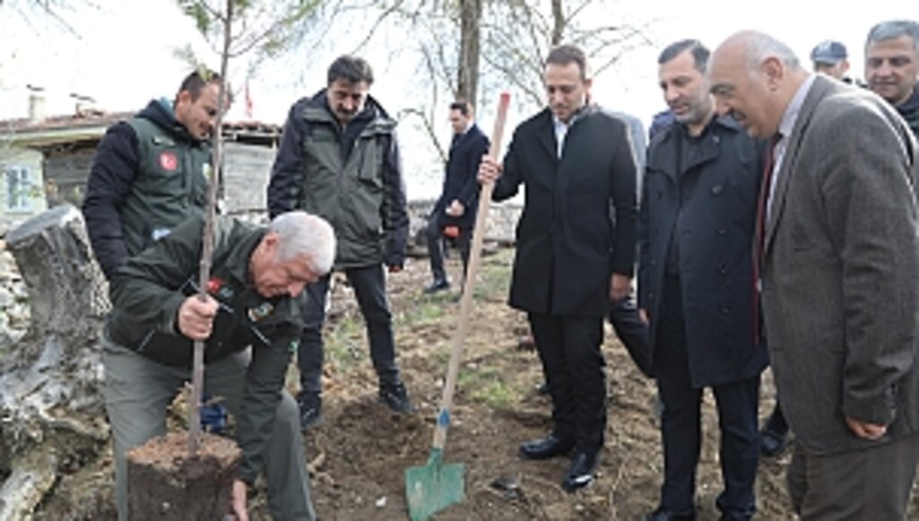 İlçemiz Yeşillendikçe Güzelleşiyor