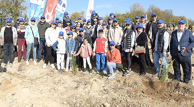 Samsun AB Bilgi Merkezi ağaç dikme etkinliği gerçekleştirdi