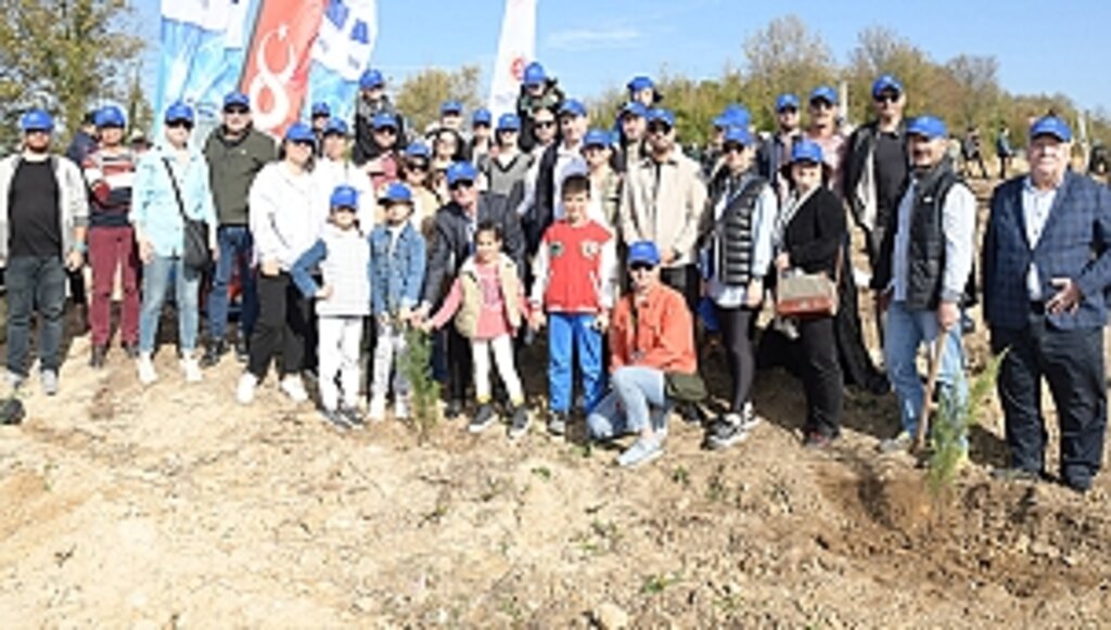Samsun AB Bilgi Merkezi ağaç dikme etkinliği gerçekleştirdi